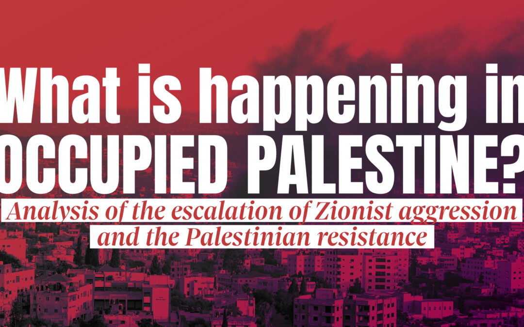 Webinar, July 9: What is happening in Occupied Palestine? With Fadia Barghouti