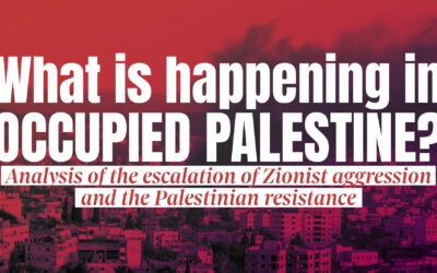 Webinar, July 9: What is happening in Occupied Palestine? With Fadia Barghouti