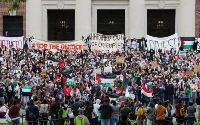 El movimiento sionista está viviendo un shock debido a la creciente actividad de los palestinos y sus partidarios en la diáspora.