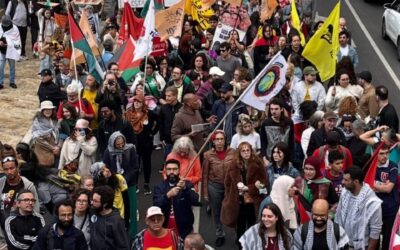 شبكة “شباب وطلبة – طريق التحرير” في مقابلة شاملة:  الاعتماد المفرط على العمل السلمي فشل في وقف الإبادة ولا يمكن أن يحل مكان النضال الفعال لتحرير فلسطين.