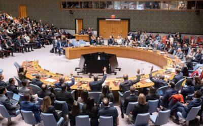 خالدية أبو بكرة: قرار مجلس الأمن يفرض وصاية أمريكية على غزة ويخدم أهداف الاحتلال